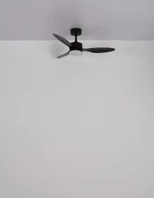 Ventilateur de plafond métal noir mat et lampe - Blackwell