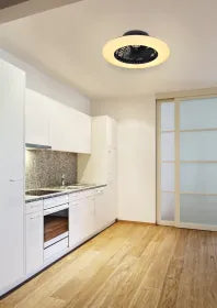 Ventilateur de plafond métal noir et lampe - Travo