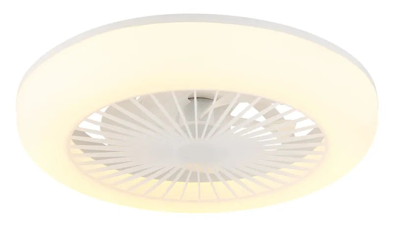 Ventilateur de plafond plastique blanc mat et lampe - Ferrell
