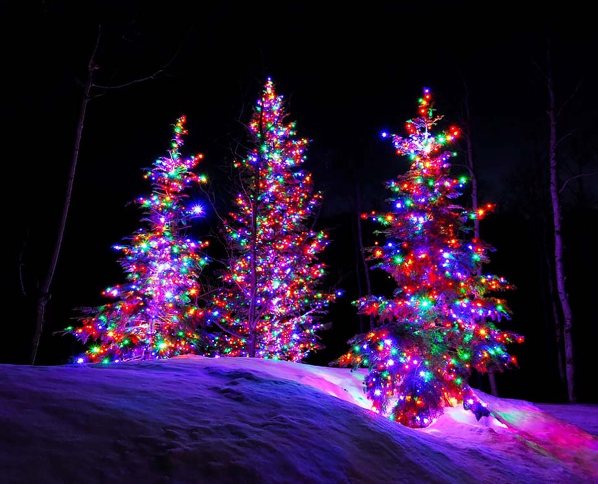 Guirlande lumineuse à 250 LED