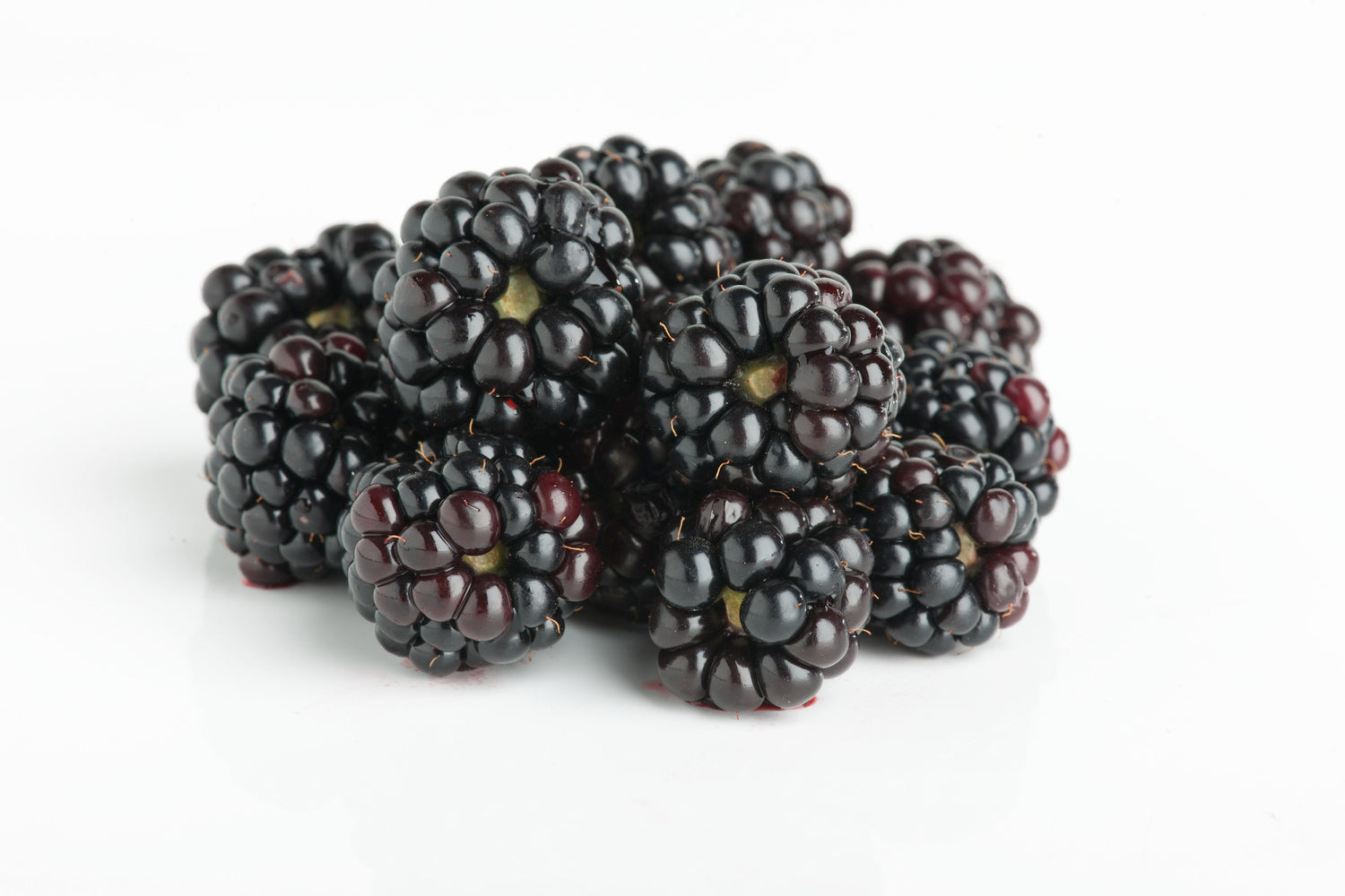 Lot de 6 plantes fruitières 30–38 cm : 3 framboisiers et 3 mûriers