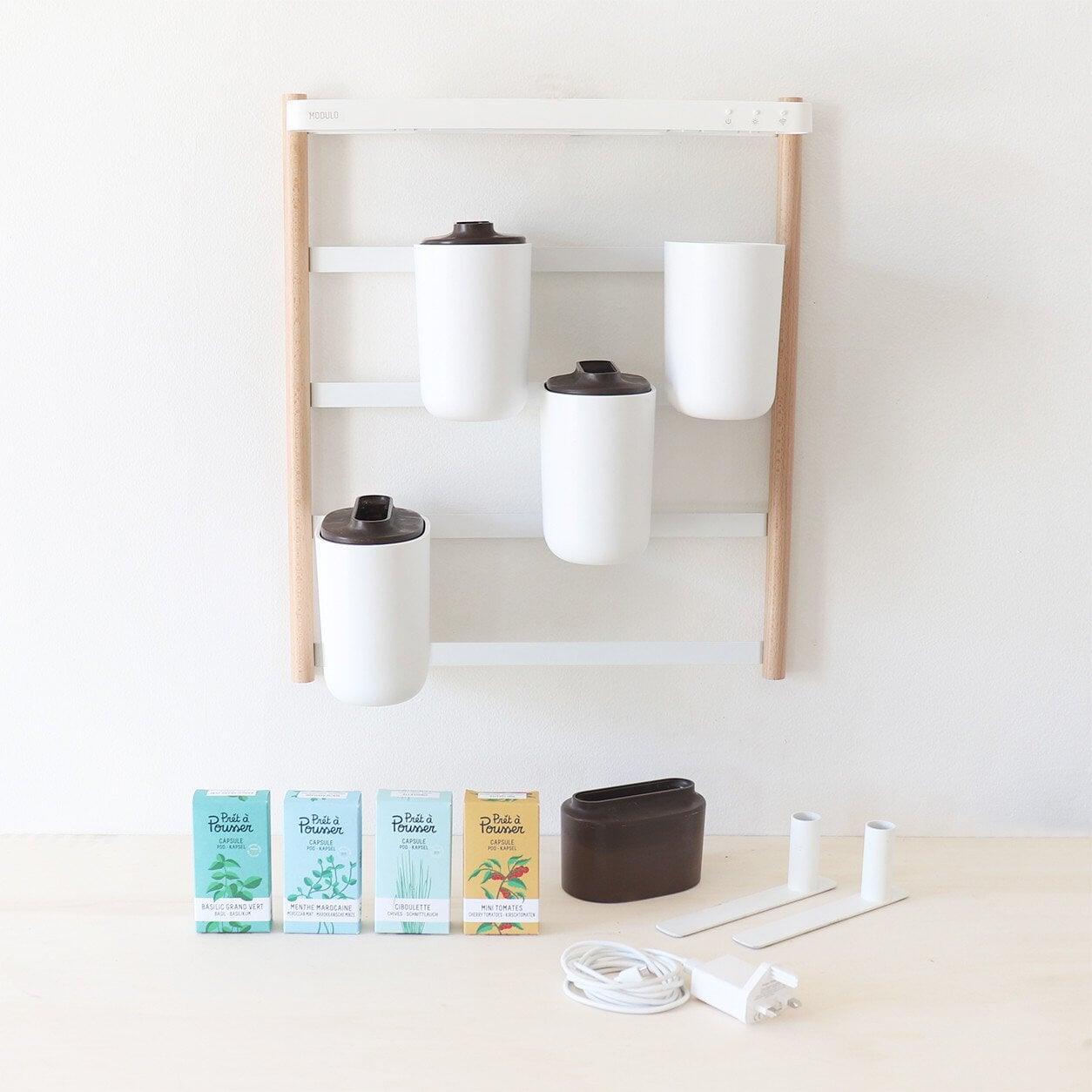 Modulo aromates - Livré avec 4 capsules de coriandre, basilic fin, persil frisé et menthe verte