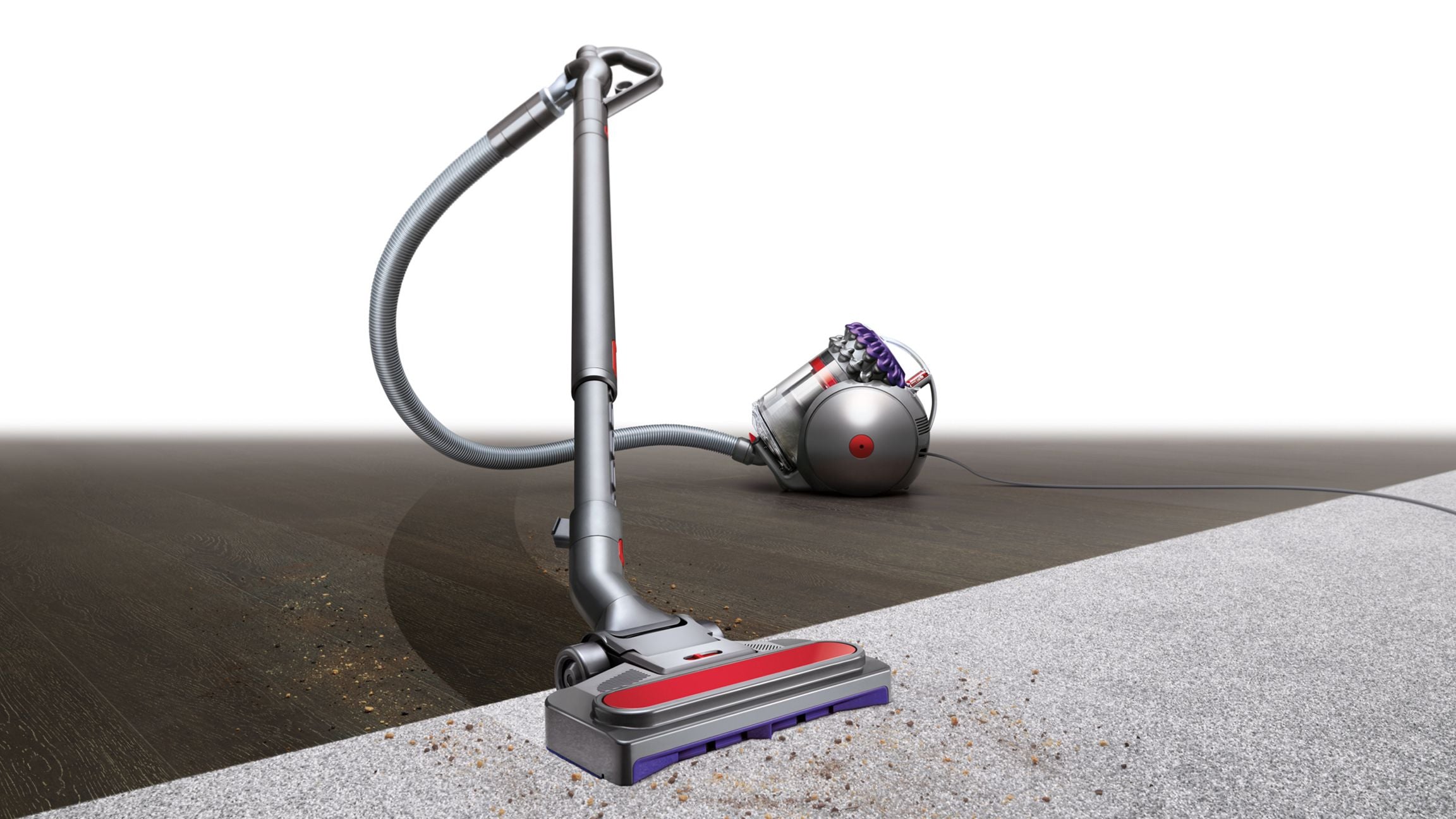 Aspirateur sans sac Dyson Big Ball Parquet 2
