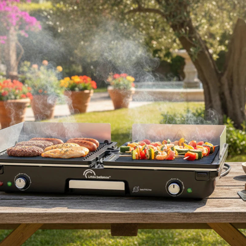 Plancha électrique Double Zone 2000 W Noir , 2 Thermostats