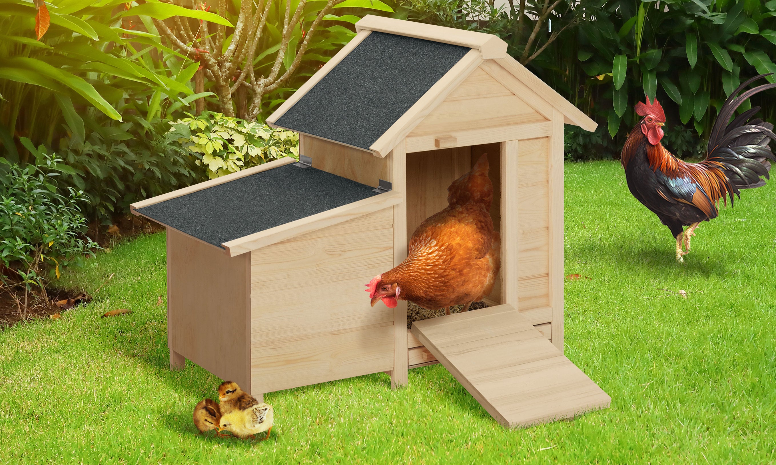 Poulailler Casita en bois avec pondoir intégré - 2 poules