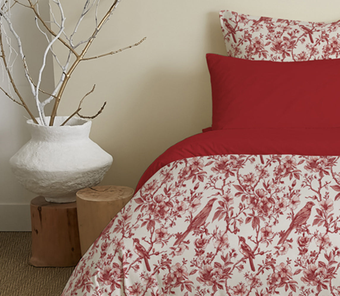 Pack 6 pièces Housse de couette Imprimé 220 x 240 cm - Drap housse 160 x 200 cm - 100% Coton 57 Fils