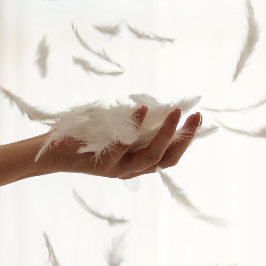 Couette Cozy 100% plume de canard - Drimz by Morphea