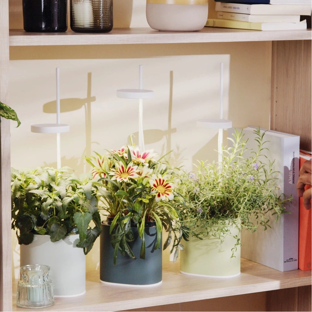 Pack 3 Nano - Pack de 3 jardinières Nano avec lampes de croissance