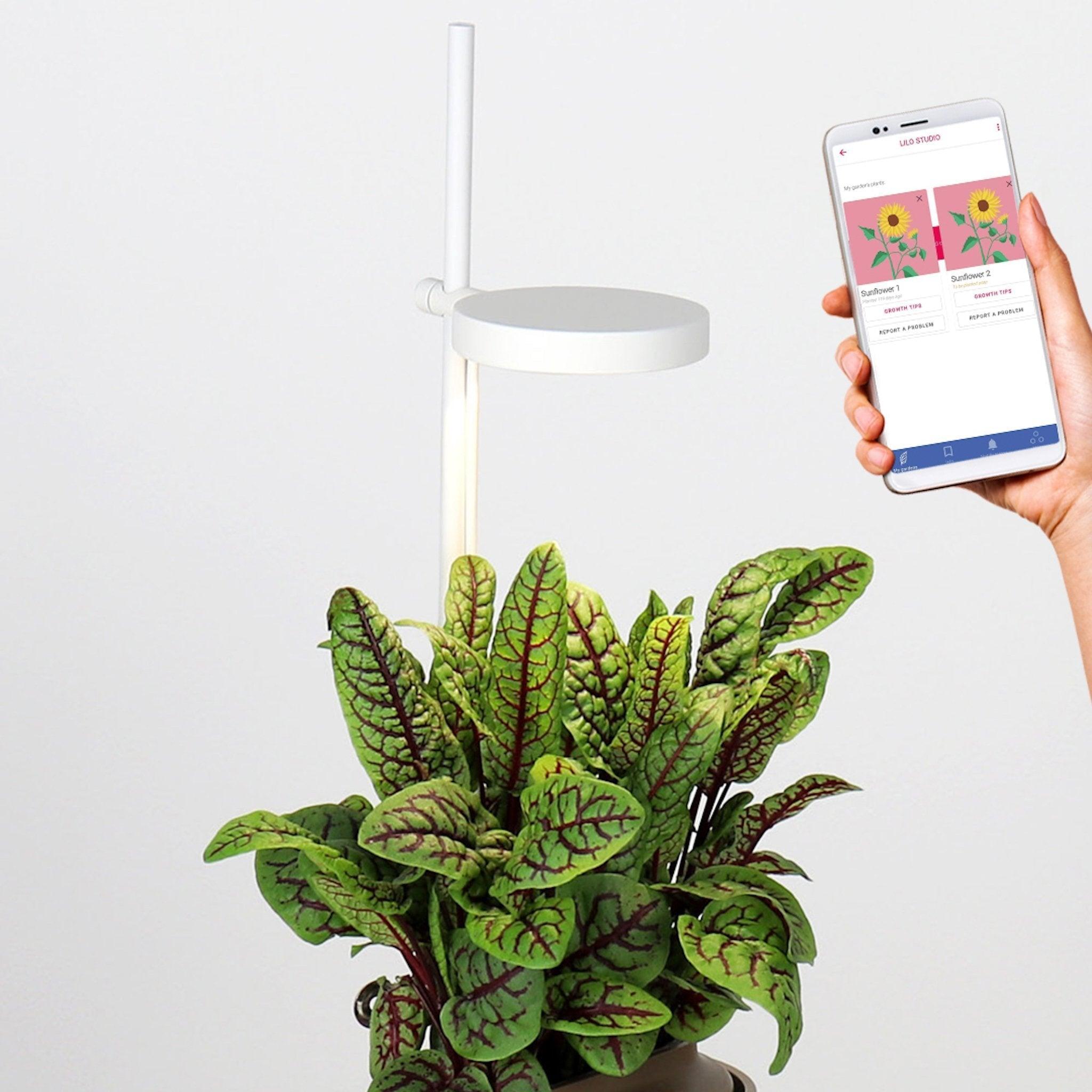 Pack 3 Nano - Pack de 3 jardinières Nano avec lampes de croissance