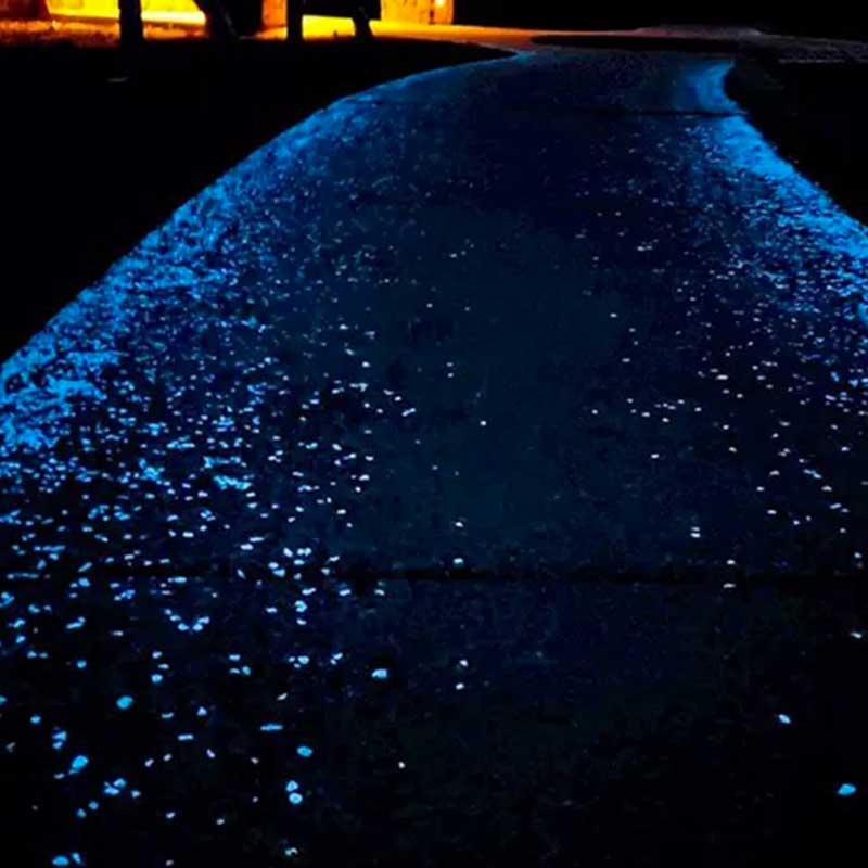 Pack de 100 Galets Fluorescents de Décoration