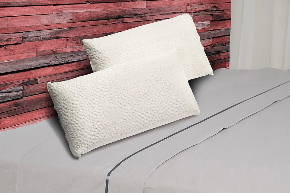 Lot de 2 Oreillers viscoélastiques à l'Aloe Vera