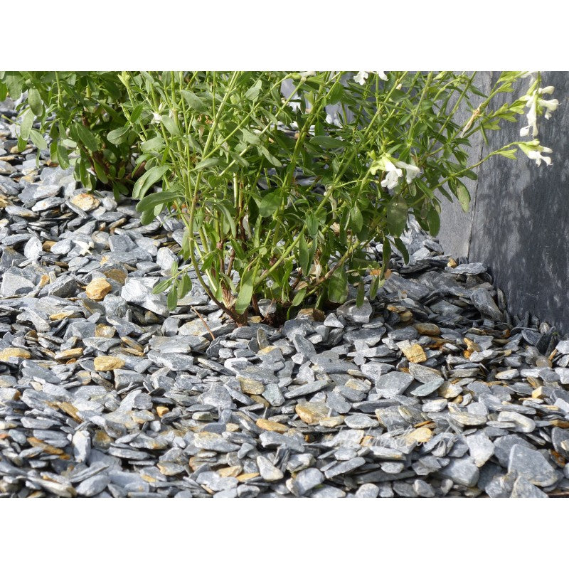 Paillage d'ardoise grise 10/30