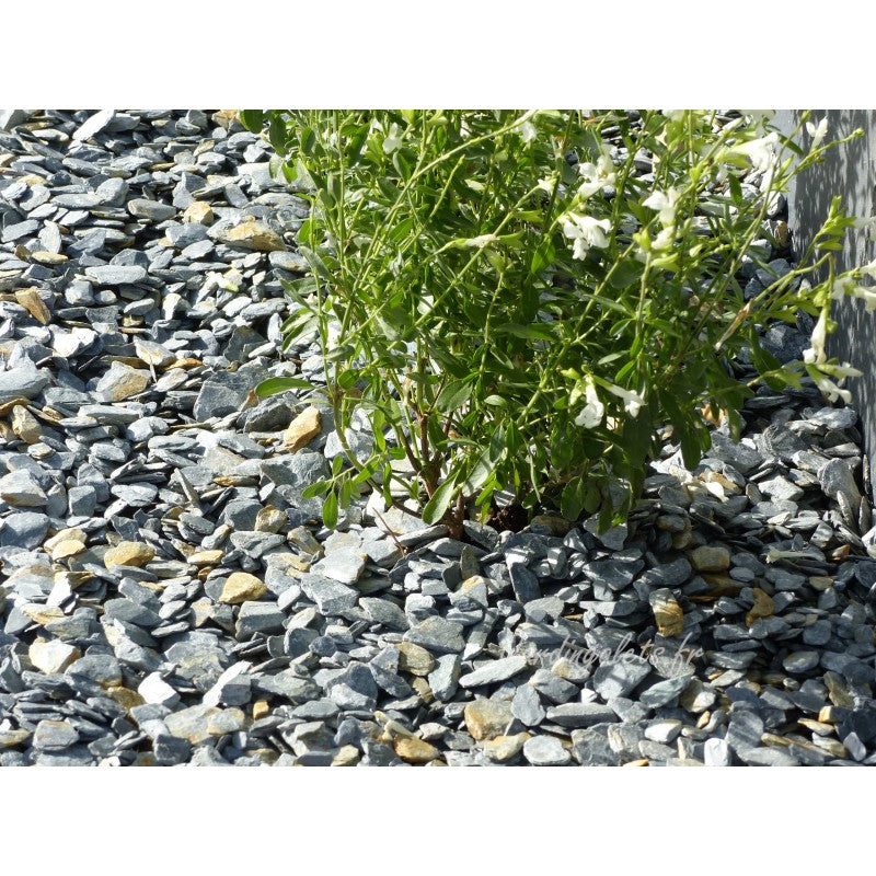 Paillage d'ardoise grise 10/30