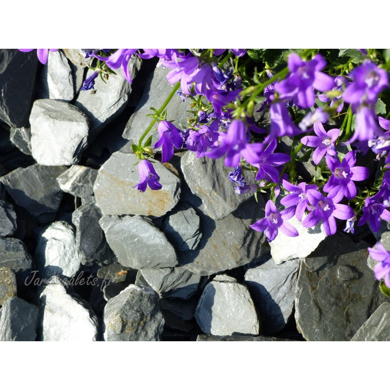 Paillage d'ardoise grise 30/60