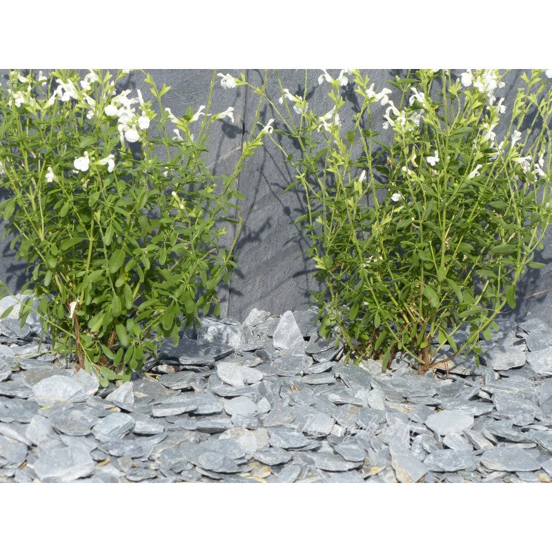 Paillage d'ardoise grise 30/60