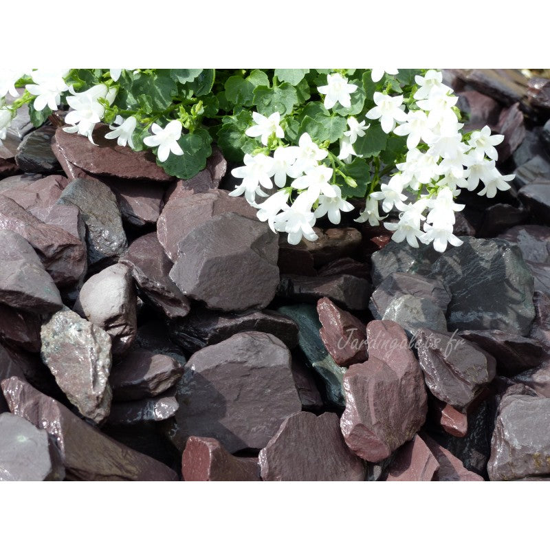 Paillage d'ardoise violine 30/50