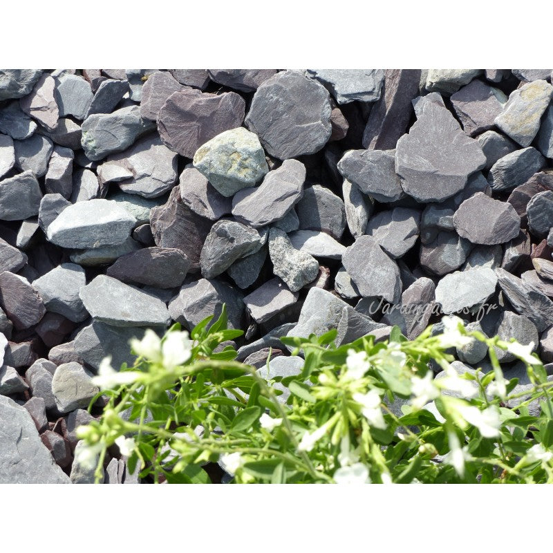 Paillage d'ardoise violine 30/50