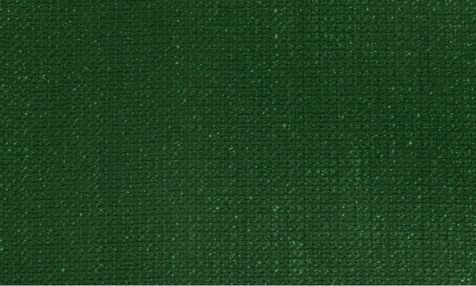 Brise vue occultant 1.5x10 m 300 gr/m² vert