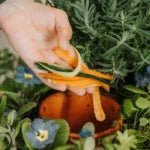 Pot de fleurs composteur