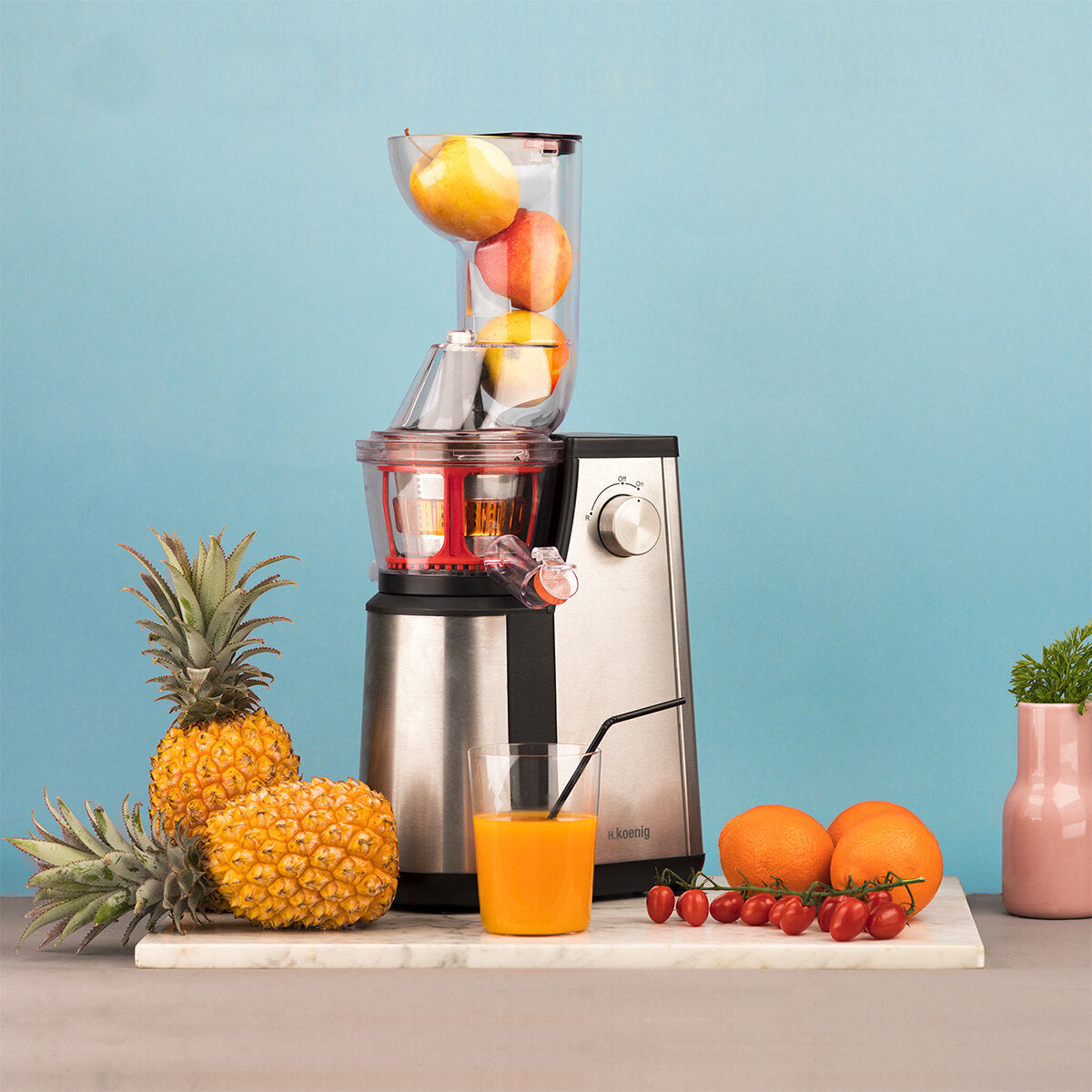 Extracteur de jus vertical Vitalice