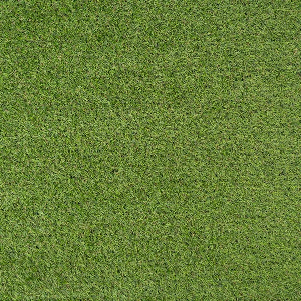 Gazon synthétique Alina Lime - 22mm