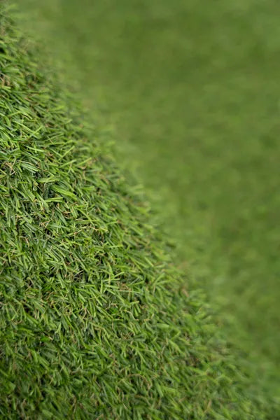 Gazon synthétique Alina Lime - 22mm