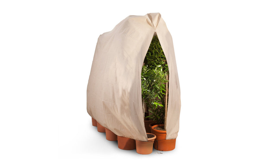 Housses d'hivernage pour plantes 200 X 240cm - Lot de 2