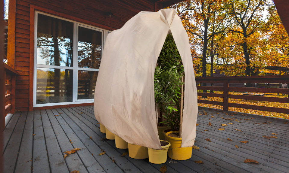 Housses d'hivernage pour plantes 200 X 240cm - Lot de 2