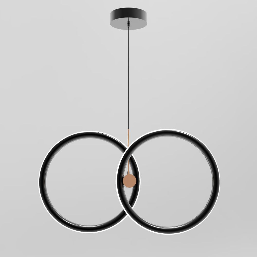 Suspension Binara