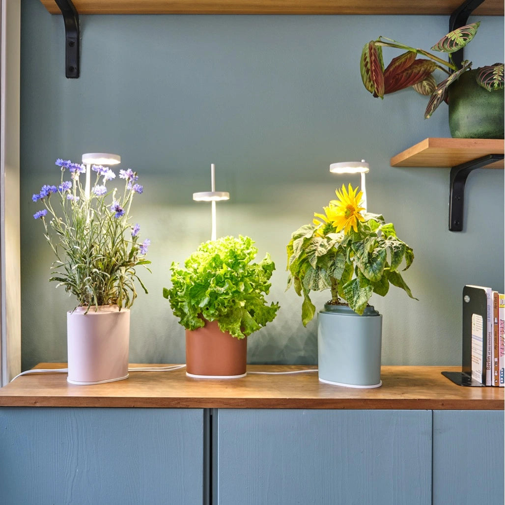 Pack 3 Nano - Pack de 3 jardinières Nano avec lampes de croissance