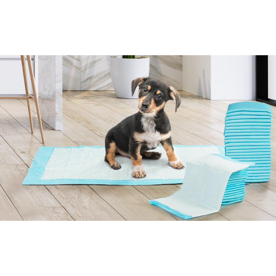 Tapis éducateurs pour chiens - Lot de 100