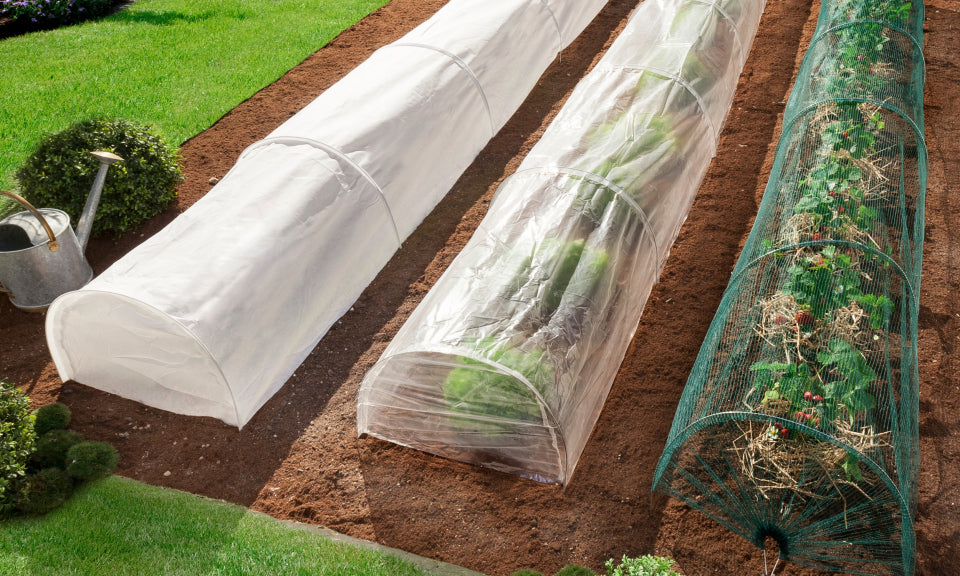 Serres tunnels de forcage avec housse 4M toutes saisons - Lot de 3