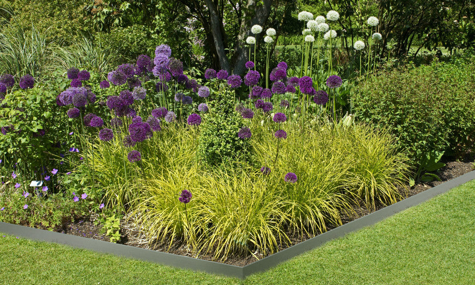 Bordurettes pour parterre en métal - lot de 5