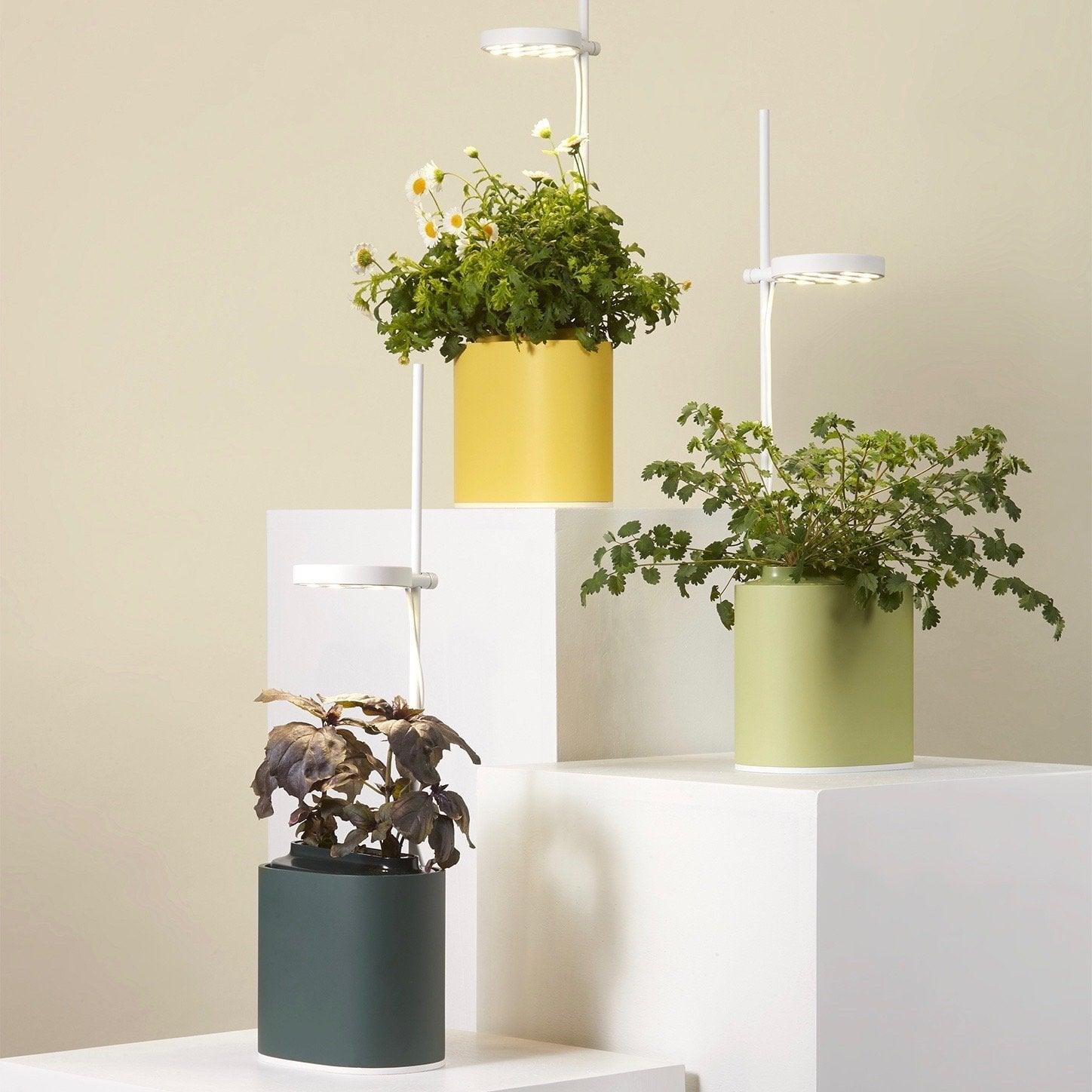 Pack 3 Nano - Pack de 3 jardinières Nano avec lampes de croissance