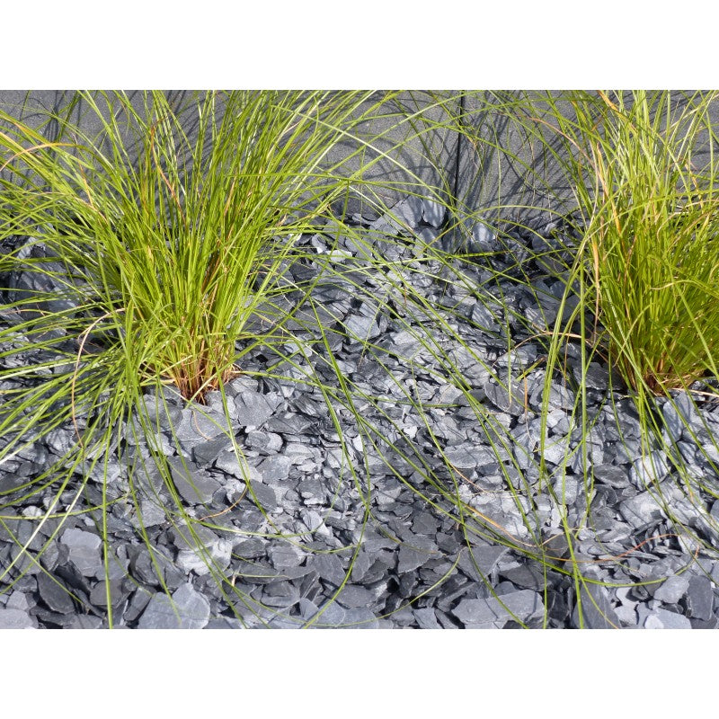 Paillage d'ardoise noire 10/40