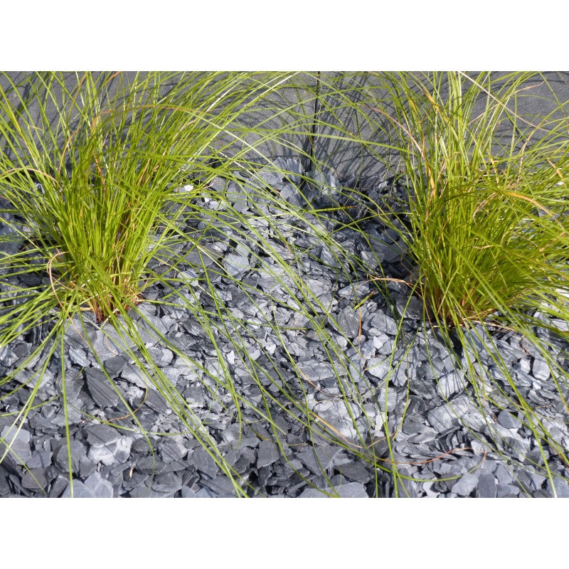 Paillage d'ardoise noire 10/40