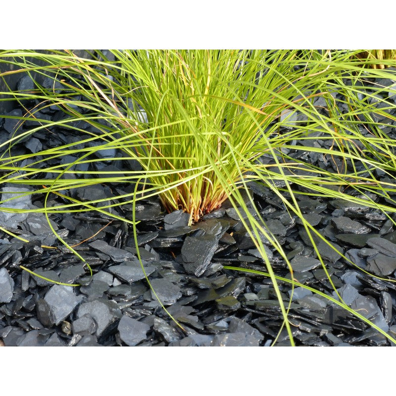 Paillage d'ardoise noire 10/40