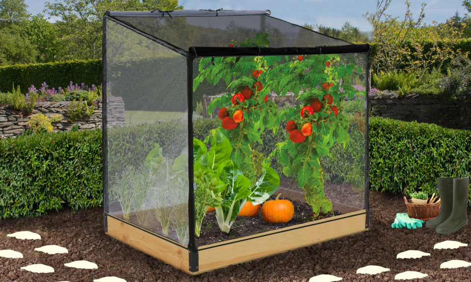 Serre de potager Aroma en bois speciale plantes hautes avec Bâche