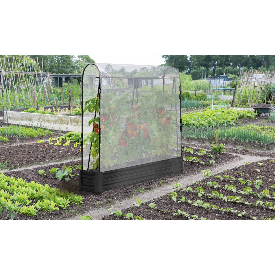 Serres de potager spéciales tomates en métal - lot de 2