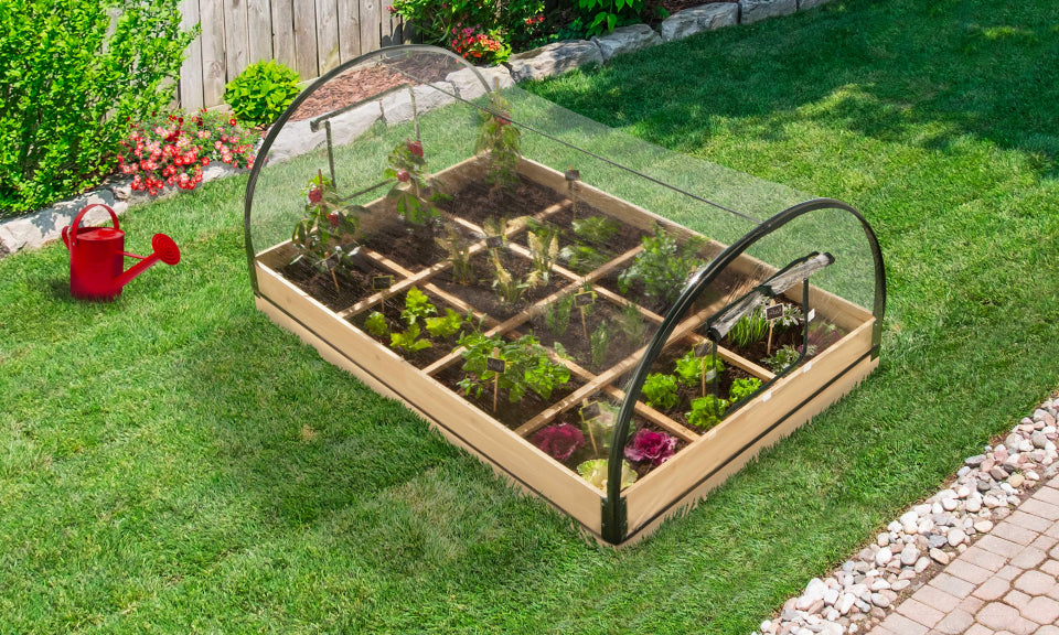 Serres de potager 12 compartiments Aroma en bois avec bâche - Lot de 2