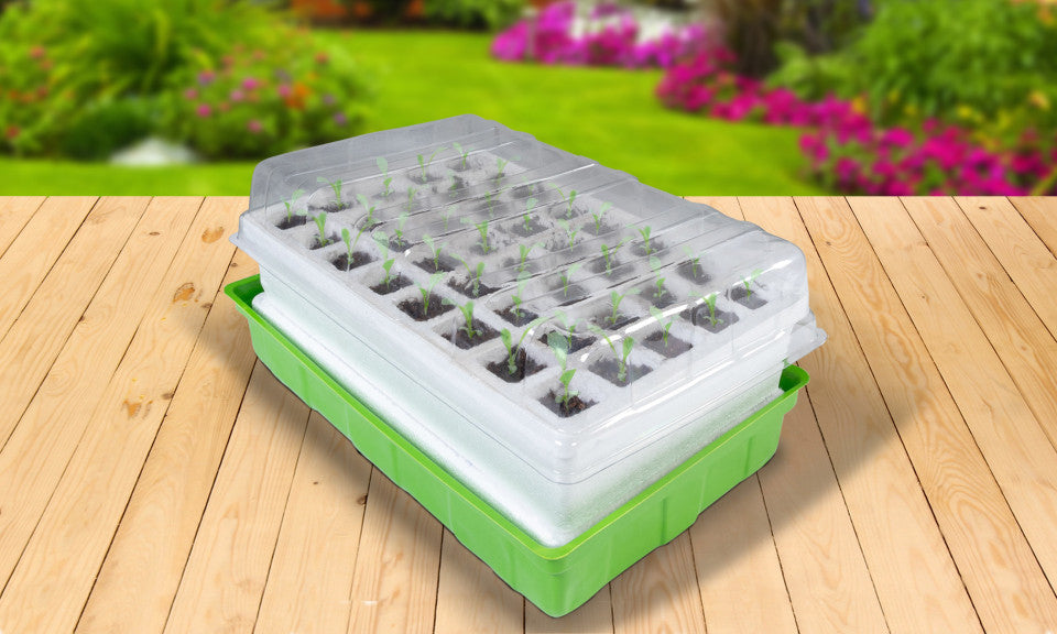 Kits de germination 40 godets accélérateurs de croissance - Lot de 2