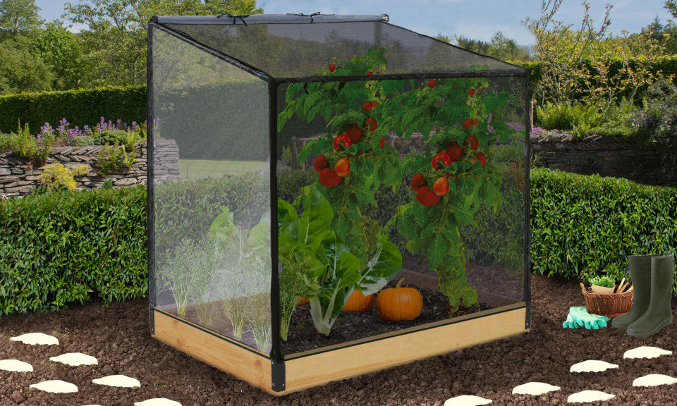 Serre de potager Aroma en bois speciale plantes hautes avec Bâche