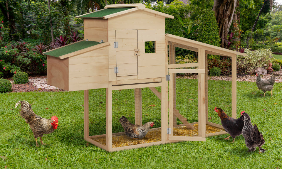 Poulailler en bois Gelina avec pondoir intégré - 3 poules