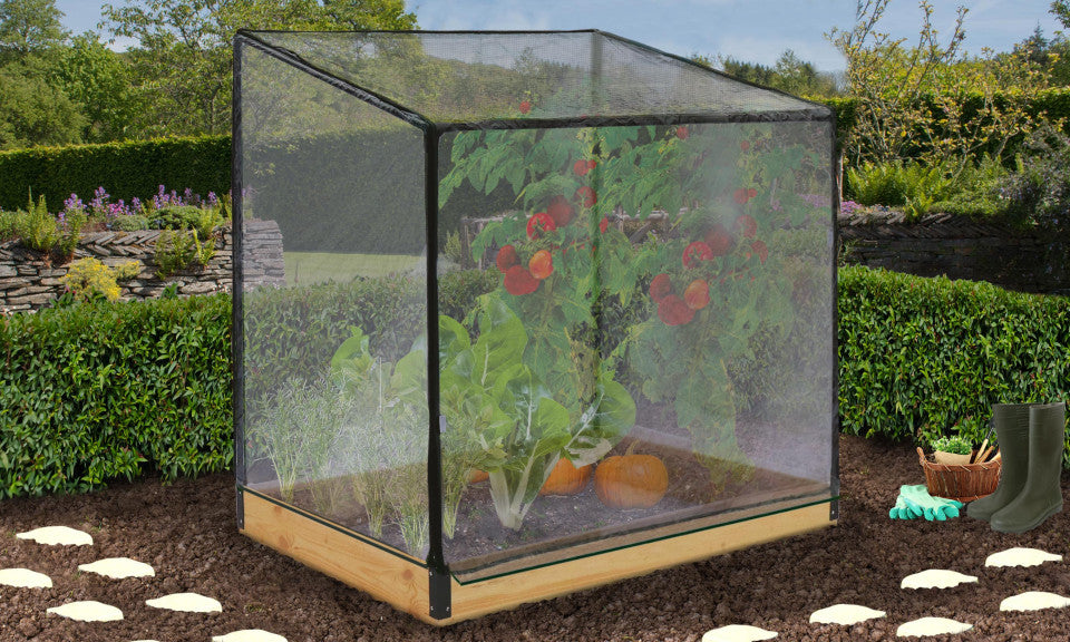 Serre de potager Aroma en bois speciale plantes hautes avec Bâche