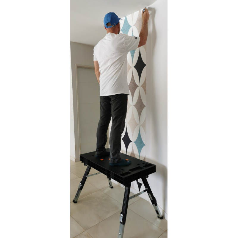 Établi Multifonction 5 en 1 Pliable