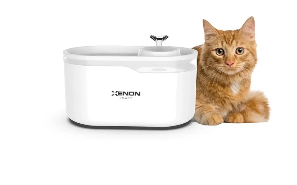 Fontaine à eau intelligente pour chat