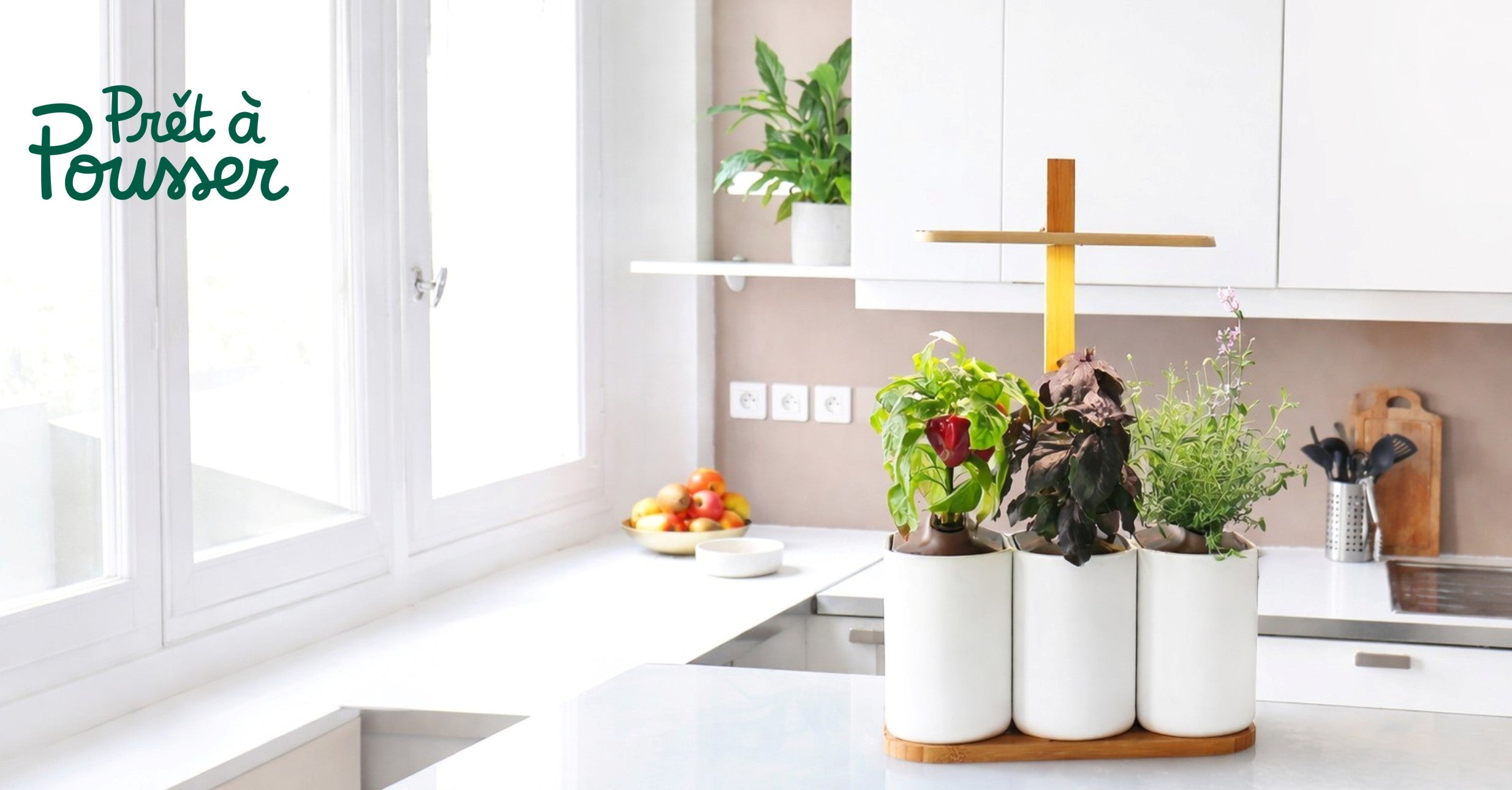 Prêt à pousser - Potagers & jardins d´intérieur