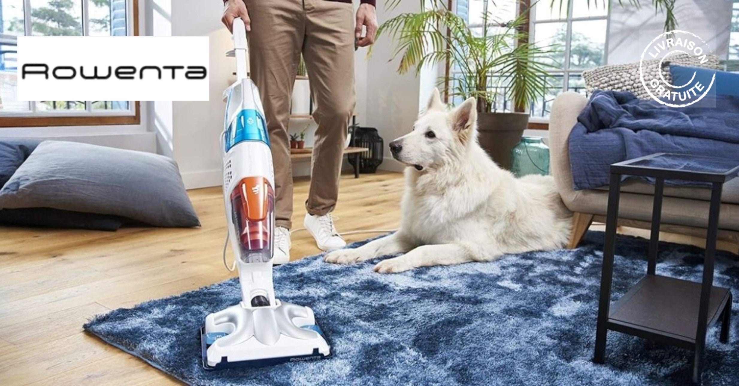 Rowenta - Nettoyeur Vapeur 2-en-1