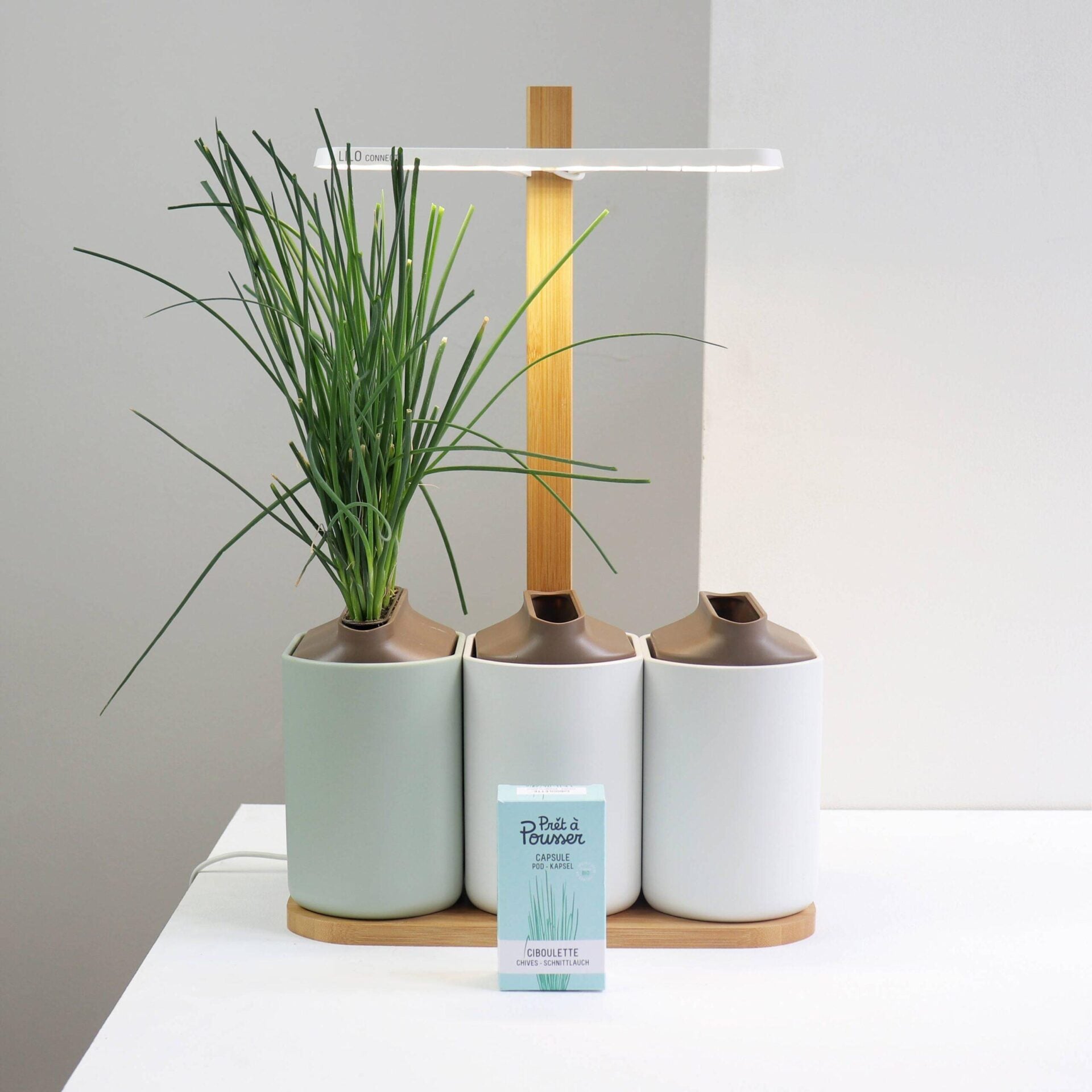 Coffret Les Indispensables (4 capsules: basilic grand vert, menthe marocaine, ciboulette, thym)