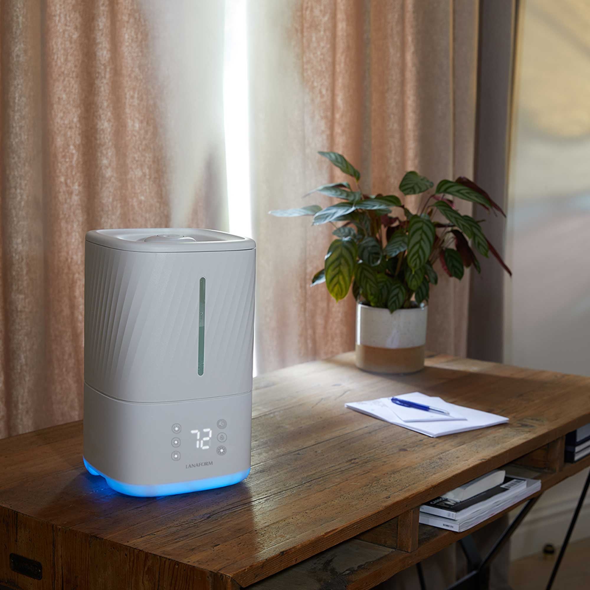 Humidificateur vapeur froide et tiède - Napo